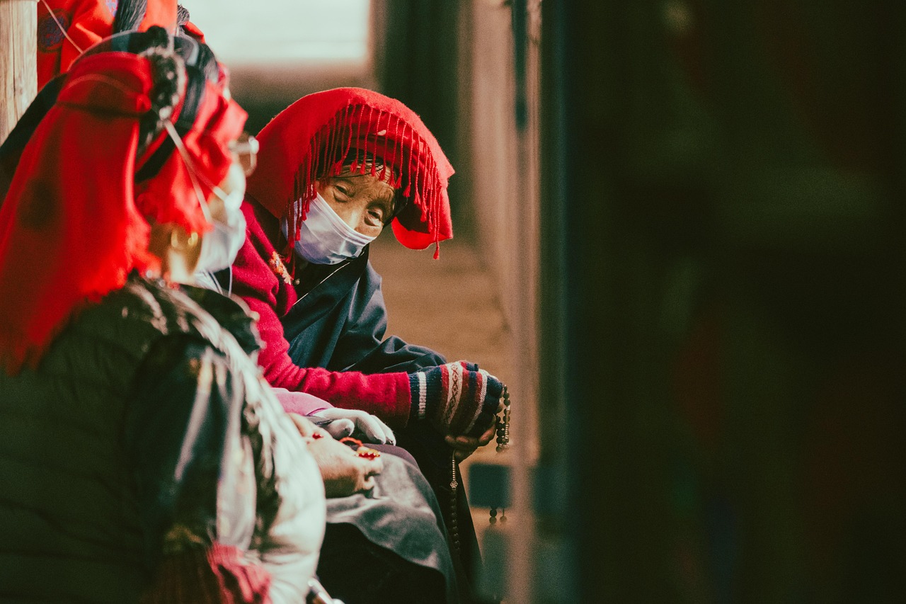 태반주사